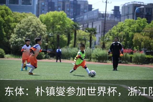 东体：朴镇燮参加世界杯，浙江队将获得总额约31.9万美元补偿