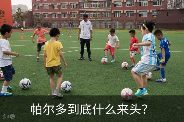 帕尔多到底什么来头？