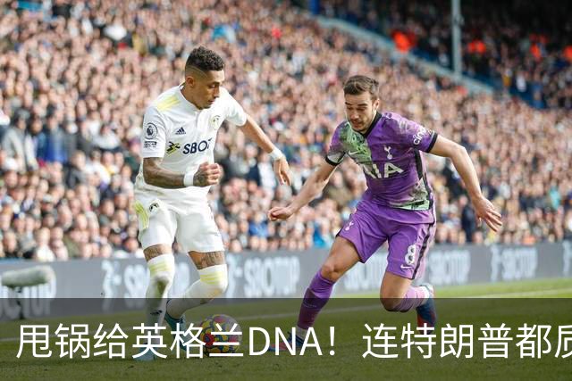 甩锅给英格兰DNA！连特朗普都质疑图赫尔！