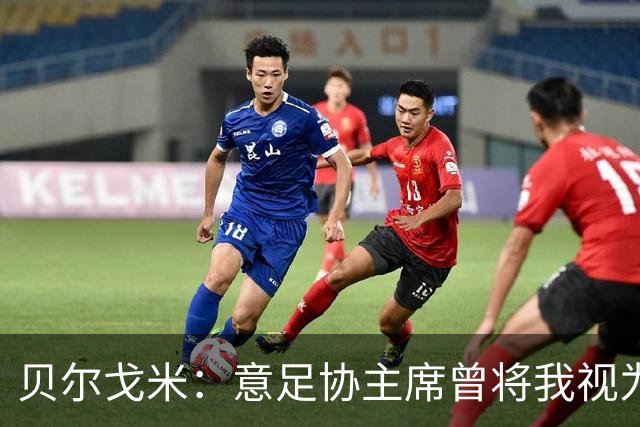 贝尔戈米：意足协主席曾将我视为备选方案，但首选一直是马尔蒂尼