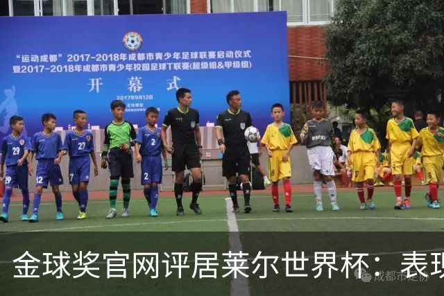 金球奖官网评居莱尔世界杯：表现足够好，可惜整体不佳
